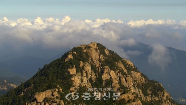 구름바다를 배경으로 솟아있는 관음봉 (사진=속리산국립공원 제공)