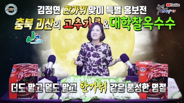 가수 김정연 씨가 진행하는 국민안내양TV 유튜브 (사진=괴산군 제공)
