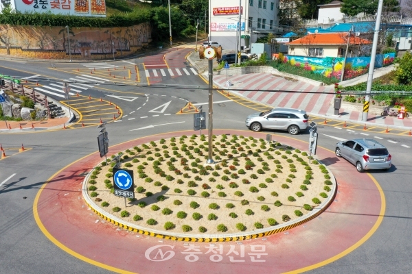 여동읍 동정리 회전교차로에 식재한 국화꽃묘 모습 (사진=영동군 제공)