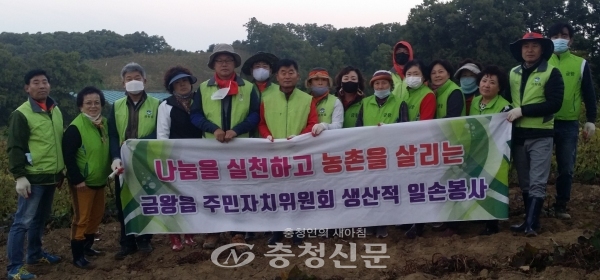 지난 14일 주민자치위원 20여 명이 참여해 금왕읍 신평리의 농가에서 들깨 베기 및 들깨 옮기기 작업을 도왔다. (사진=금왕읍 제공)