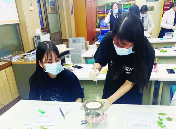 부여여고 생명과학실에서 학생들이 실습에 집중하고 있다.
