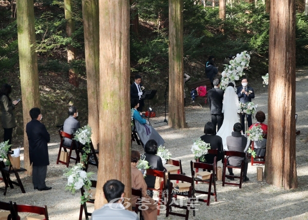 대전 서구가 추진하는 '사랑의 결실, 작은 결혼식'을 통해 지난달 30일 장태산 자연휴양림 메타세콰이어 숲에서 제 2호 커플이 탄생했다. (사진=서구 제공)