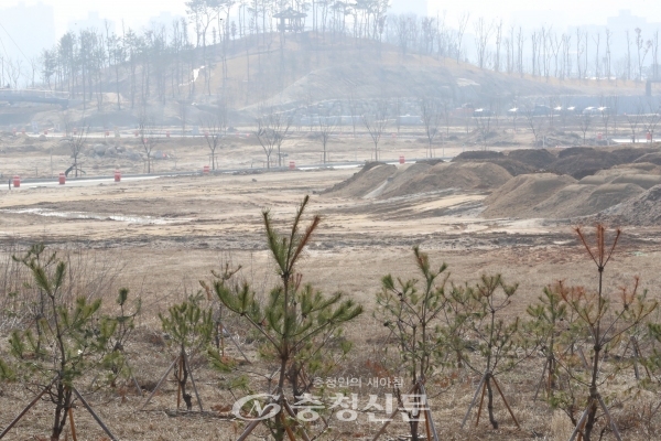 10일 오전 청주 넥스트폴리스 산업단지 예정지에 나무들이 빽빽하게 심겨 있다. (연합뉴스)