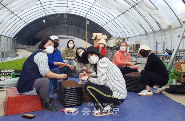 9일 용산동 향기누리회 회원들은 생산적 농촌 일손 봉사에 동참했다. (사진=충주시 제공)