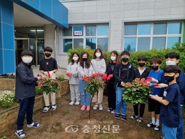 제천 홍광초등학교 학생회 임원과 교사들이 교화인 장미나무 심기 행사를 추진했다. (사진=홍광 초등학교 제공)