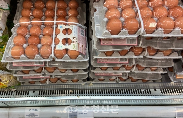 한 마트에 진열된 계란. (사진=한은혜 기자)