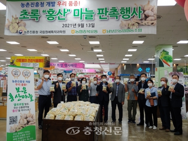보은군은 농협 청주 하나로마트에서 13일 ‘홍산’ 마늘 홍보 행사를 갖고 본격 판매에 들어갔다. (사진=보은군 제공)