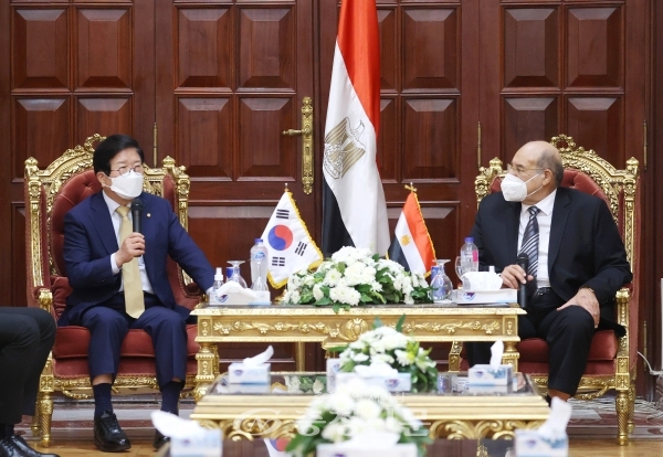 이집트를 공식 방문 중인 박병석 국회의장은 11일(현지시간) 이집트 카이로에서 압델 라제크 이집트 상원의장과 회담을 하고 있다.(사진=국회의장실 제공)