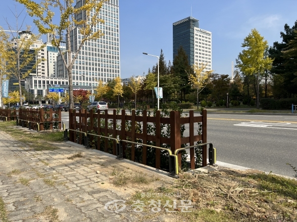 대전시 서구 둔산중로 도로변 식생형 LID시설 개선모습(사진=대전시 제공)