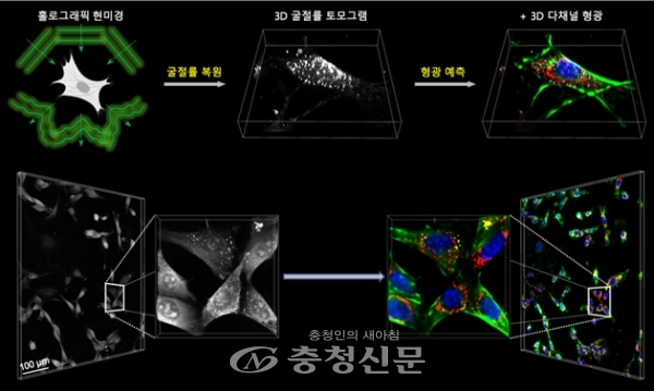 개발된 인공지능 현미경 개요(상단)와 적용 예시(하단).(제공=KAIST)