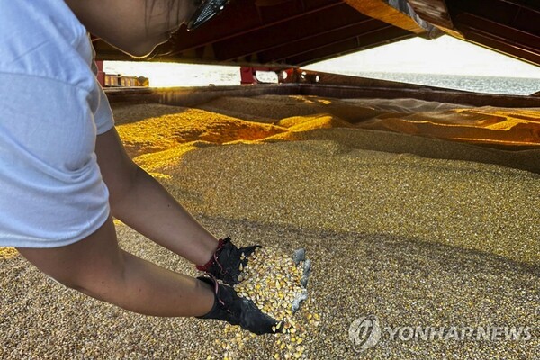 우크라이나에서 수출된 곡물 (사진)