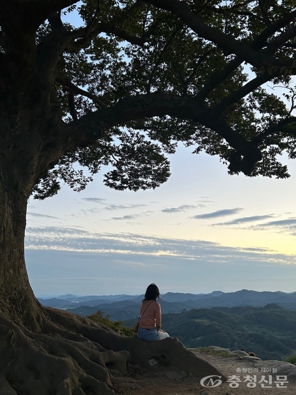 [포토] “치유의 시간…사랑가득한 명절을” < 사진·영상으로 본 세상 < 포토뉴스 < 기사본문 - 충청신문 [포토] “치유의 시간…사랑가득한 명절을”