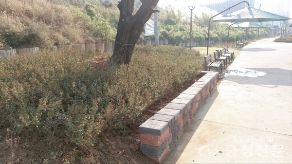 천안 성호수공원 비포장 구간 포장 공사 완료 모습. (사진=박완주 의원 사무실 제공)