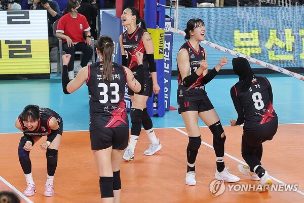 ▲ 정관장 레드스파크스 선수들이 6일 대전 충무실내체육관에서 열린 흥국생명 핑크스파이더스와 2024-2025 V리그 여자프로배구 챔피언결정전 4차전을 승리한 뒤 기뻐하고 있다. (연합뉴스)