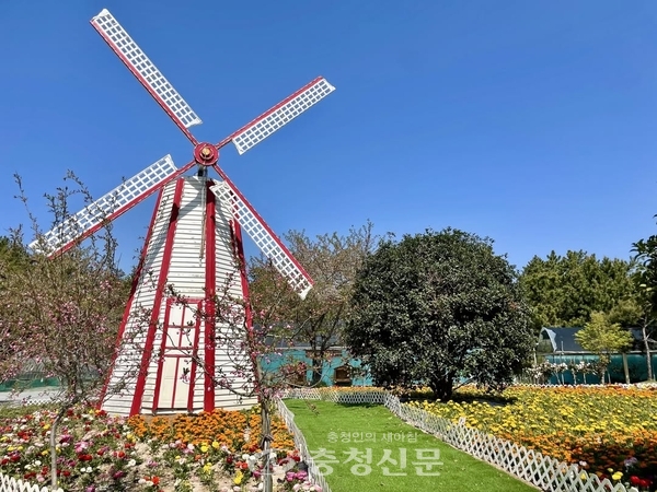 태안봄꽃정원 SNS