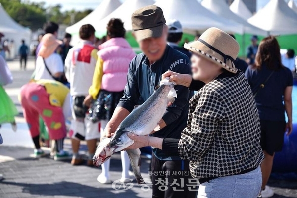 바다송어 축제 제공
