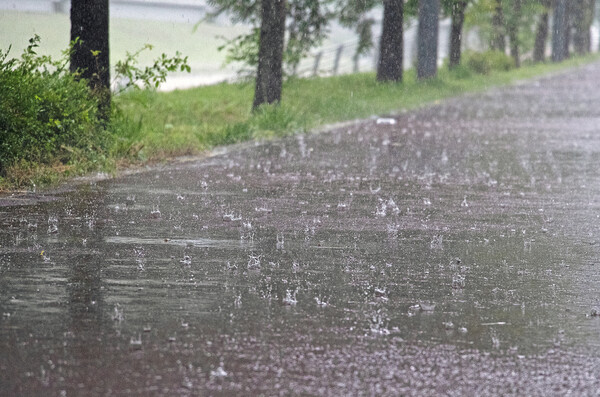  사진=클립아트코리아