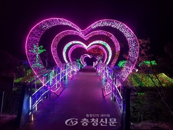 태안 빛축제 (태안군 제공)