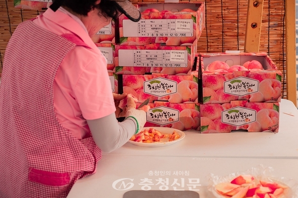 ▲ 세종 조치원 복숭아 축제 (세종시 공식 블로그)
