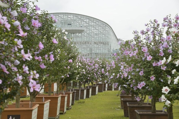 나라꽃 무궁화 대축제 제공