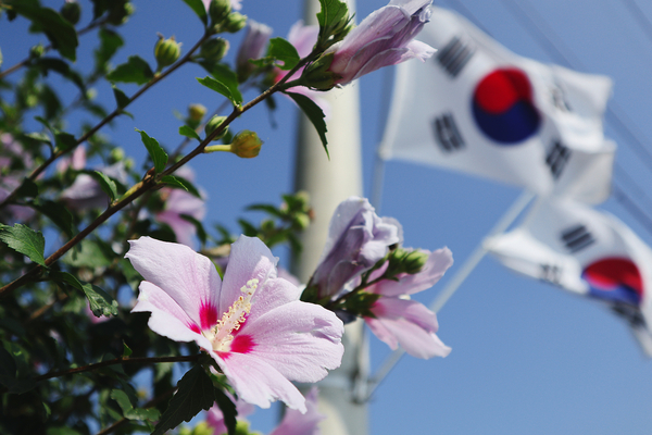 사진=클립아트코리아 제공 (기사 및 보도와 관련없음)