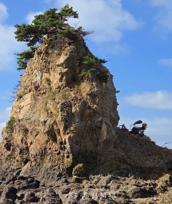 잦은 호우와 풍화에 따른 지반 약화로 일부가 무너져 내린 할아비 바위는 보는 각도에 따라 절반가량 뚝 잘려 나간 듯 하다.