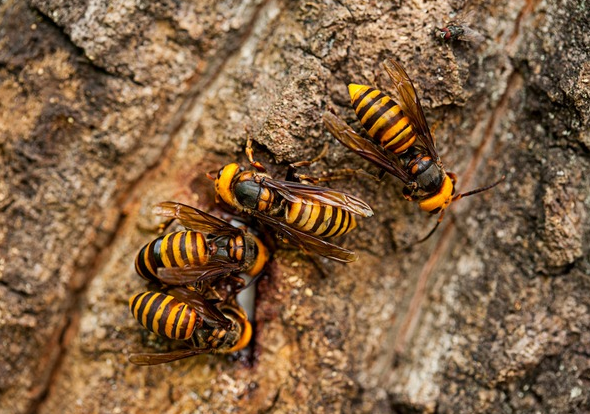 (사진=클립아트코리아)