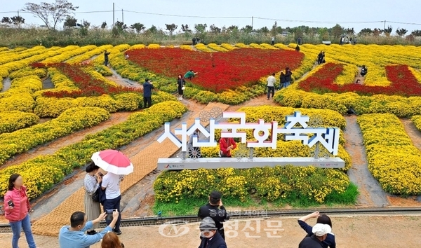 서산시는 7일부터 16일까지 고북면 복남골길 31-1 일원에서 가을꽃 향연으로 '제25회 서산국화축제'를 개최한다. 사진은 2023년 11월 3일부터 12일까지 개최한 서산국화축제 모습. 