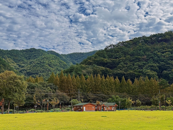 상서동 산림욕장 (사진=김해인 기자)